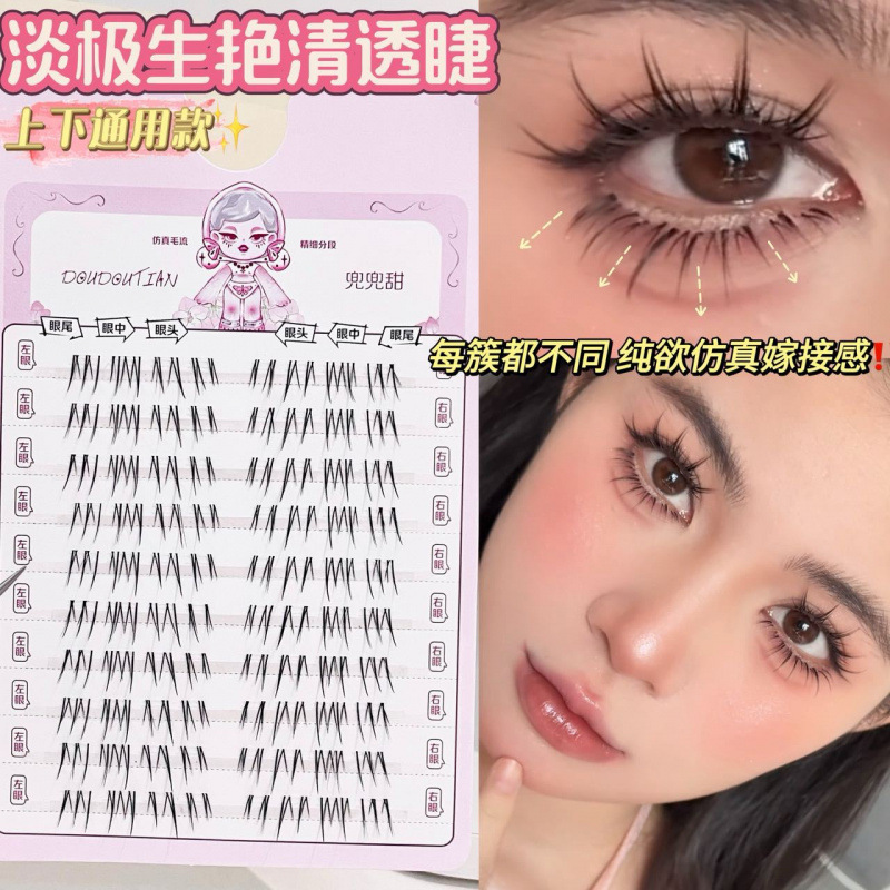한국 스타일 자연스러운 인조 속눈썹 DIY 세트 10줄 - Beauty Makeup Looks 리뷰 및 가격